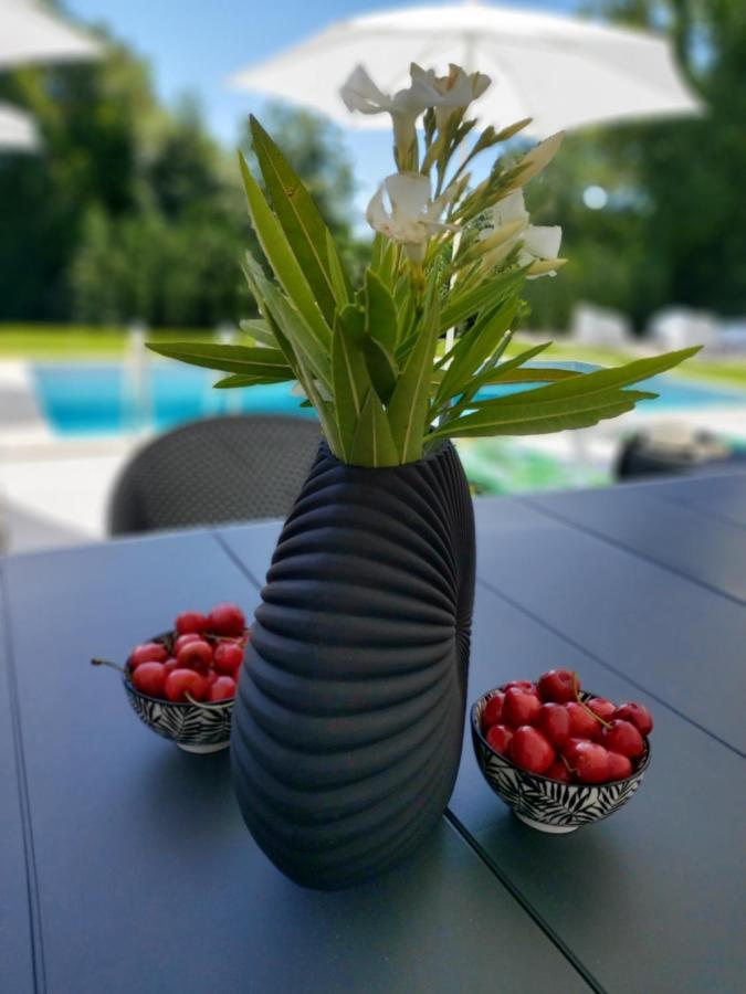 Villa Destiny Nedescina, Istrien, Kroatien Екстер'єр фото