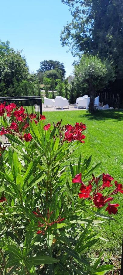 Villa Destiny Nedescina, Istrien, Kroatien Екстер'єр фото