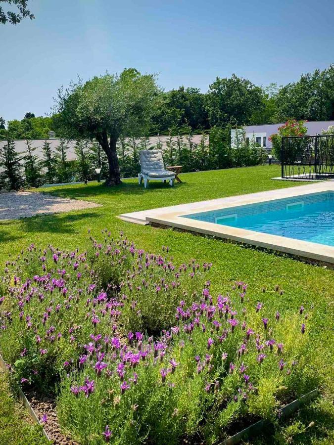 Villa Destiny Nedescina, Istrien, Kroatien Екстер'єр фото
